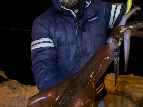 Il Racconto di pesca di un grande calamaro catturato da terra con la tecnica dell’ Eging!