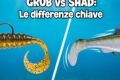 Grub o Shad? 🤔 Quando la scelta giusta può fare la differenza!